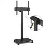 TECHLY ICA-TR101B